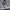 reebok lite 4 photo 3