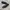 adidas spezial grey photo 1
