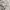 Zara Casual Jumper Pria white photo 4
