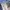 JORTS PANTS by POINT SYSTEMS photo 5