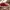 Seavess Legend 90 High
Cherry Red
Size 42,5 photo 2