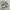 NB 530 photo 2