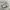 NB 740 photo 2
