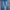 Blue Jeans Tomcat photo 1