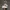 NEW BALANCE 530 BEOGE ANGORA  photo 1