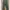 Celana Tactical Kitanica Green XL photo 1