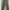 Celana Tactical Kitanica Green XL photo 4