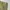 Dickies Chino Khaki Loose Fit MR652 photo 7