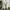 Dickies Chino Khaki Loose Fit MR652 photo 2