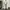 Dickies Chino Khaki Loose Fit MR652