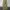 Dickies Chino Khaki Loose Fit MR652 photo 3