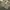 Dickies Chino Khaki Loose Fit MR652 photo 8