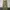 Dickies Chino Khaki Loose Fit MR652 photo 1