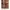Miu2 Shoulder Bag Palissandro Female Original photo 5