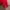Streetwear Biker Windbreaker Pria white red photo 4