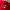 Streetwear Biker Windbreaker Pria white red photo 8