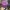 The Red Face Streetwear Hat Pria multicolor photo 4