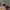 MOSCOT FOLDING SUNGLASSES photo 6