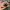 MOSCOT FOLDING SUNGLASSES photo 3