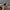 MOSCOT FOLDING SUNGLASSES photo 2