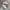 Adidas Streetwear Minimalist Sneakers Wanita white photo 2
