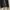Shein Luxury Avant Garde Flare pants Wanita black photo 4