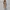 Shein Luxury Avant Garde Summer dress Wanita cream brown photo 3