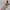 Shein Luxury Avant Garde Summer Dress Wanita Cream Brown