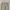 Celana Dickies 873 Slim Straight photo 4