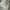 Celana Dickies 873 Slim Straight photo 5