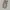 Celana Dickies 873 Slim Straight photo 1