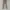 Celana Dickies 873 Slim Straight photo 2