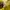 Hoodie Adidas Threefoil Yellow photo 4