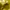Hoodie Adidas Threefoil Yellow photo 5