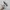 Adidas Streetwear Casual Sneakers Pria white photo 4