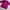 Mizuno Y2K Sportswear Windbreaker Pria pink photo 4