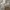Karl Lagerfeld Canvas Tote bag original / tas skena photo 6
