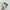 VANS Streetwear Casual Sneakers Pria white photo 4
