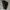 speaker bluetooth marshall stockwell ll photo 2