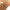Tropicfeel Canyon Running Shoes original / sepatu lari photo 6