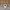 Japanese Brand Casual Trench Coat Pria Cream