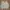Japanese brand Casual Trench coat Pria cream photo 2
