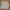 Japanese Brand Casual Trench Coat Pria Cream