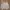 Japanese Brand Casual Trench Coat Pria Cream
