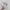 Adidas Streetwear Casual Sneakers Pria white photo 4