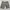 Short Pants Dickies
