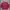 Vtg Tee Shirt Longsleeve Maroon - by Asics photo 1