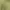 Asos 3d textured photo 3