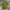 Asos 3d textured photo 1