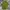 Asos 3d Textured